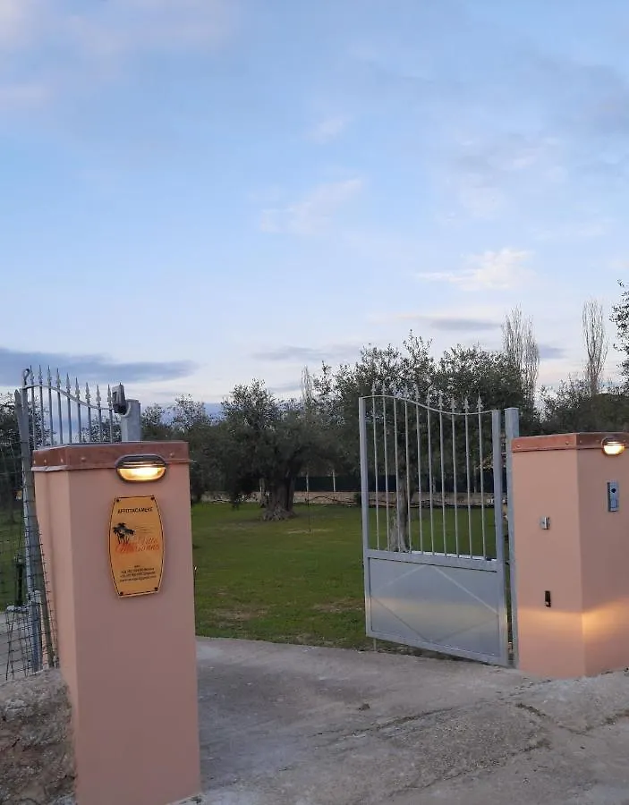 Konukevi Villa Marianna Alghero İtalya